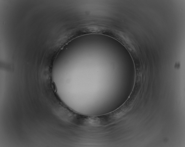 X0000090410317200707131153
