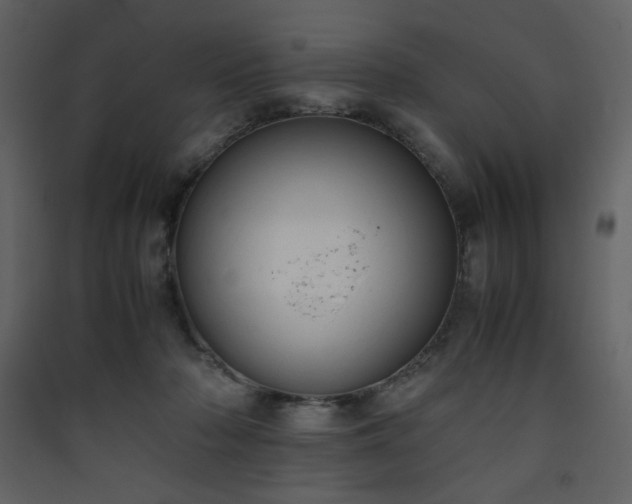 X0000090410318200707131153