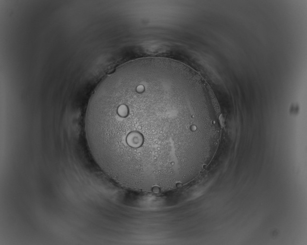 X0000090410319200707131153