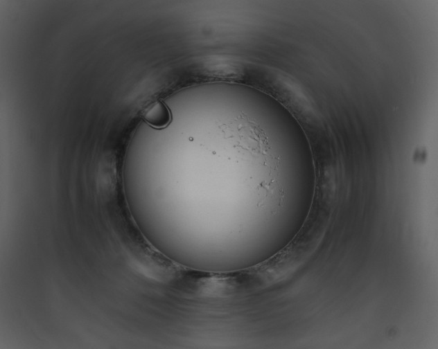 X0000090410320200707131153