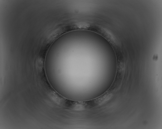 X0000090410321200707131153