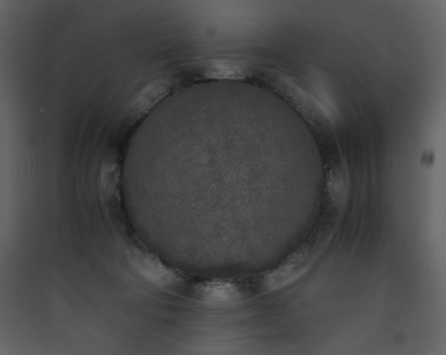 X0000090410322200707131153