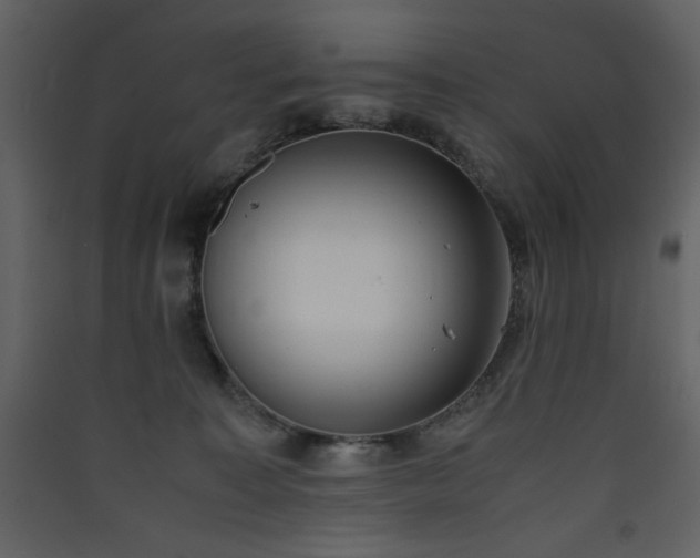 X0000090410323200707131153