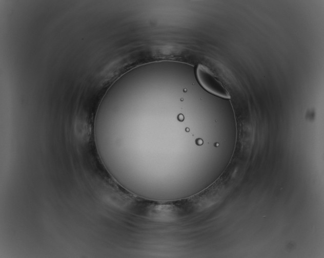 X0000090410324200707131153