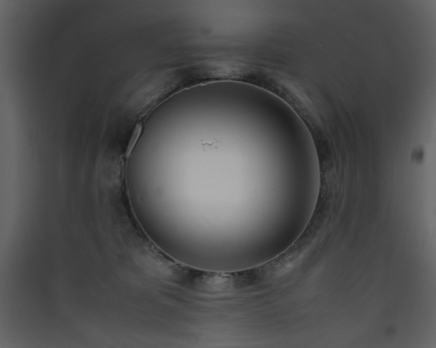 X0000090410325200707131153