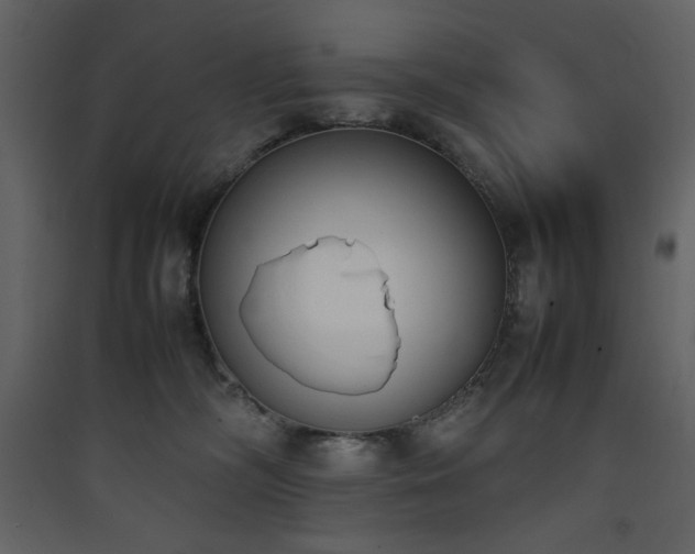 X0000090410326200707131153