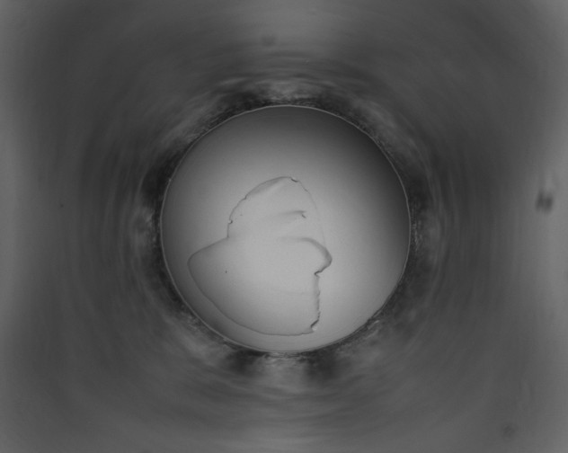 X0000090410327200707131153