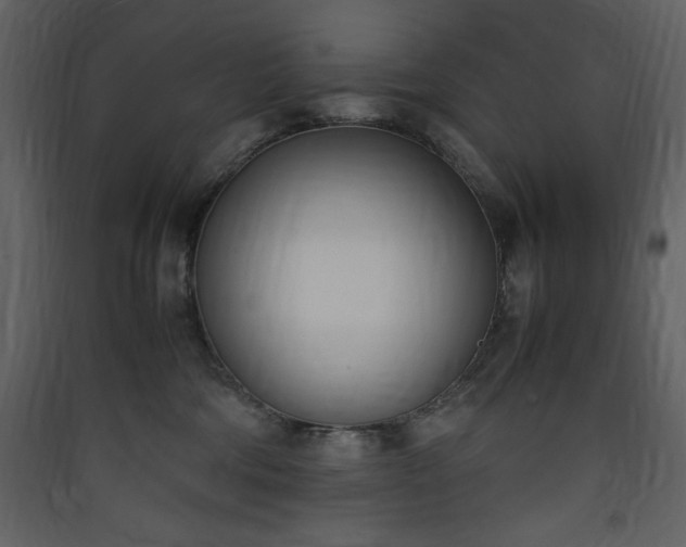 X0000090410330200707131153