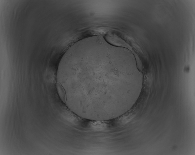 X0000090410331200707131153