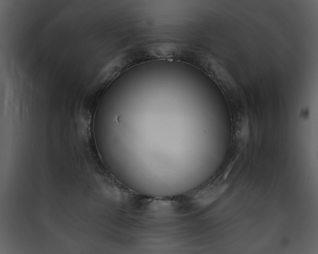 X0000090410332200707131153
