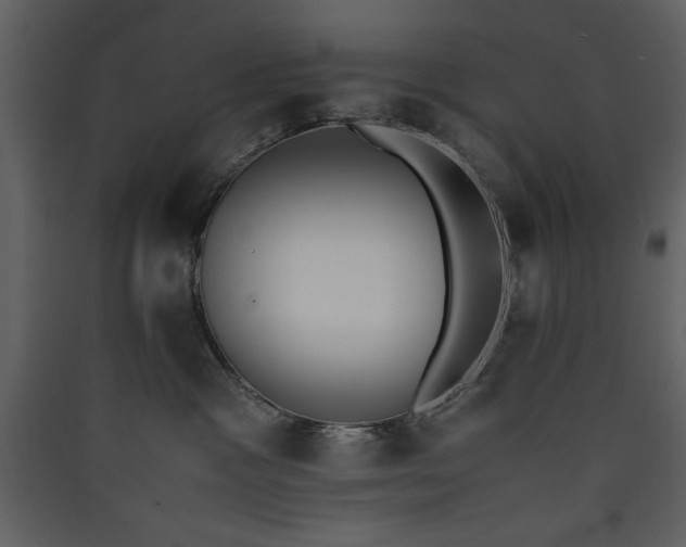 X0000090410333200707131153