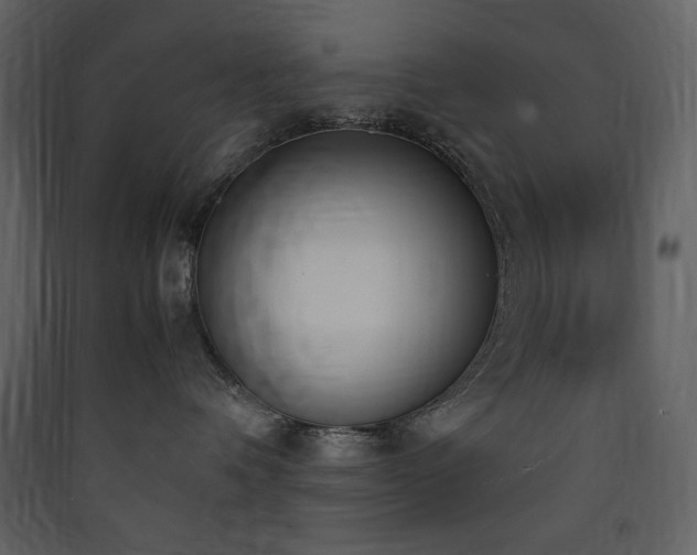 X0000090410336200707131153