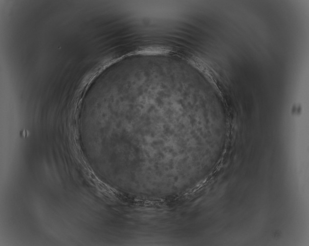 X0000090410337200707131152