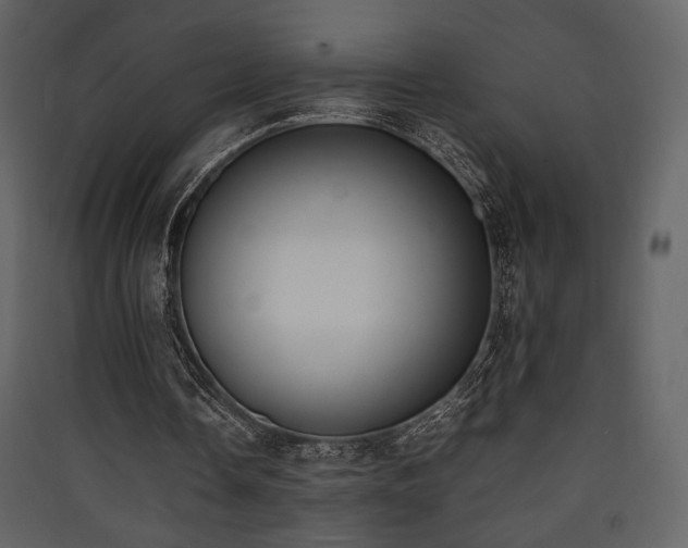 X0000090410338200707131152