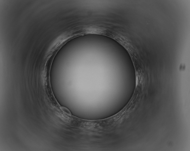 X0000090410339200707131152