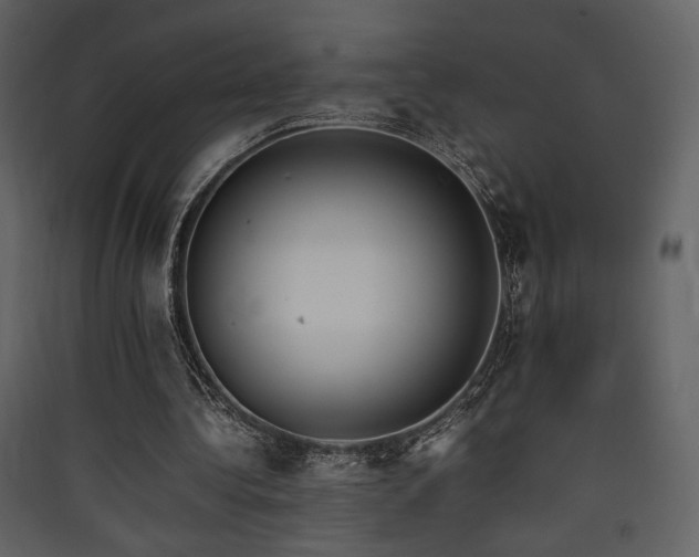X0000090410340200707131152