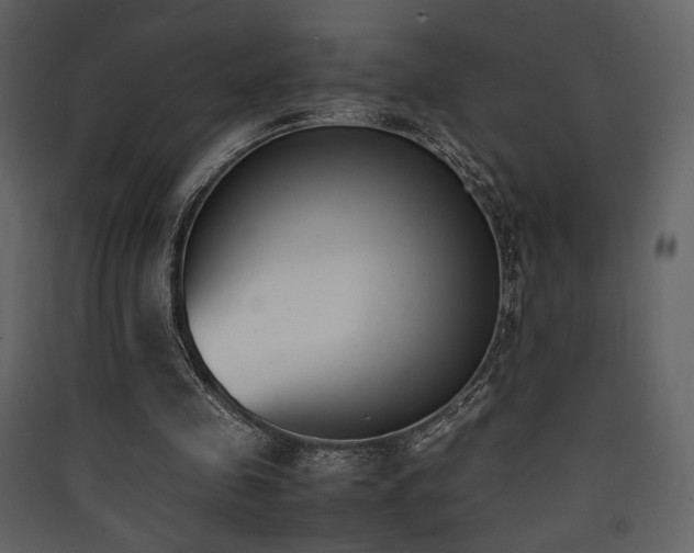 X0000090410341200707131152