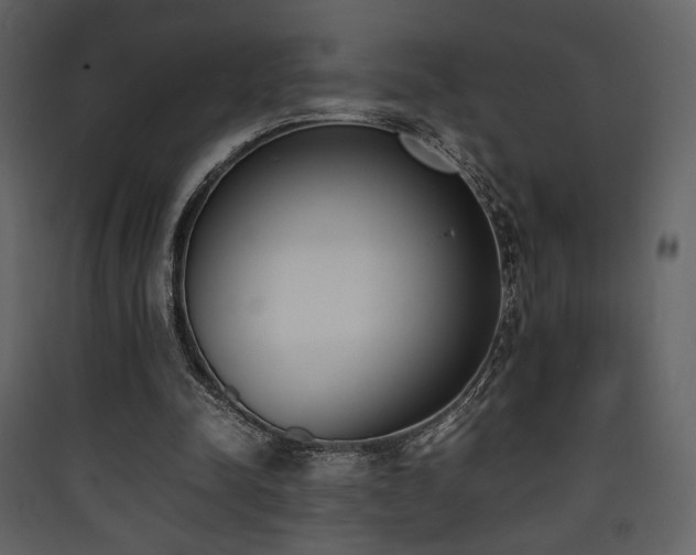 X0000090410342200707131152