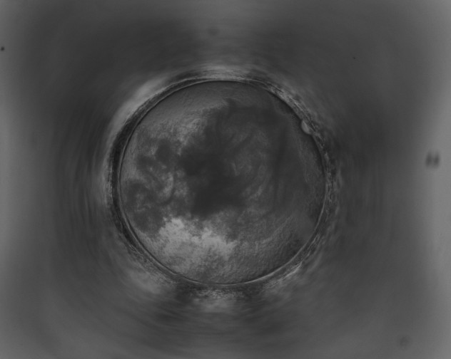 X0000090410343200707131152