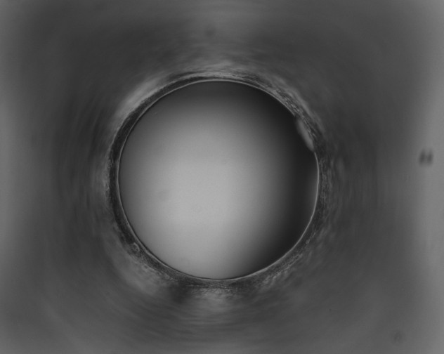 X0000090410344200707131152