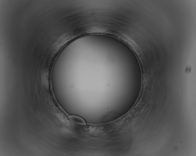 X0000090410345200707131152