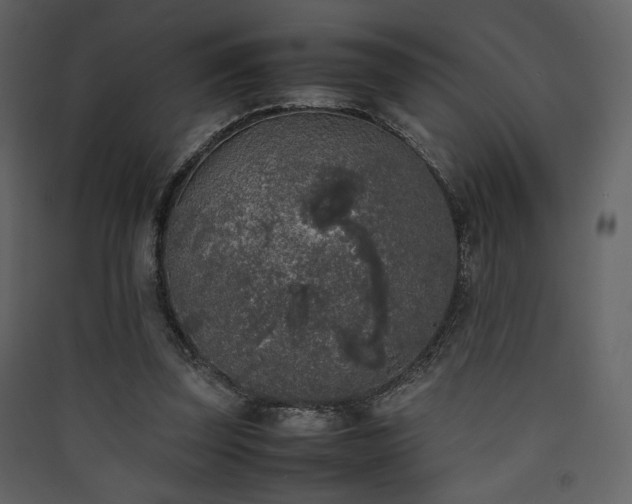 X0000090410347200707131152