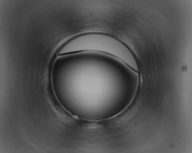 X0000090410348200707131152