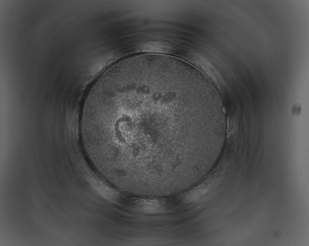 X0000090410349200707131152