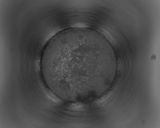 X0000090410351200707131152