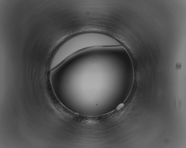 X0000090410352200707131152