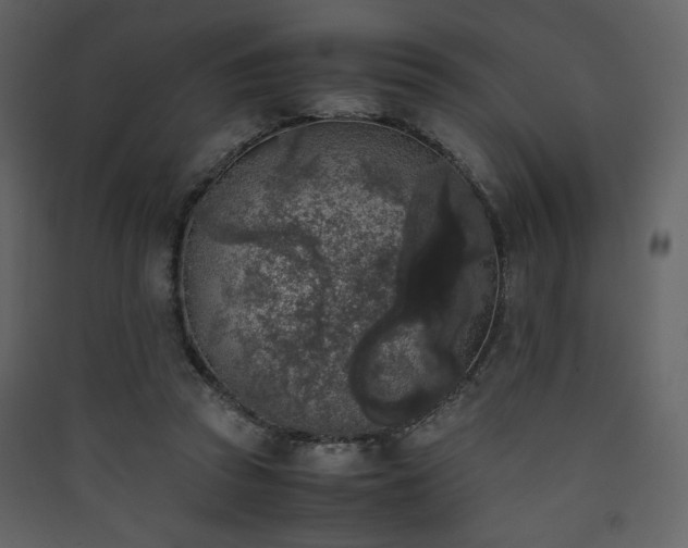 X0000090410353200707131152