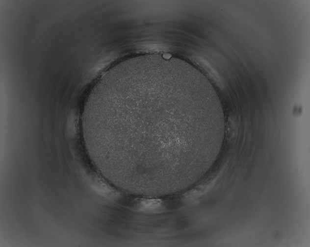 X0000090410355200707131152