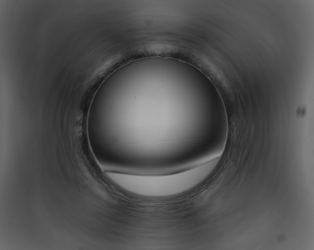 X0000090410356200707131152