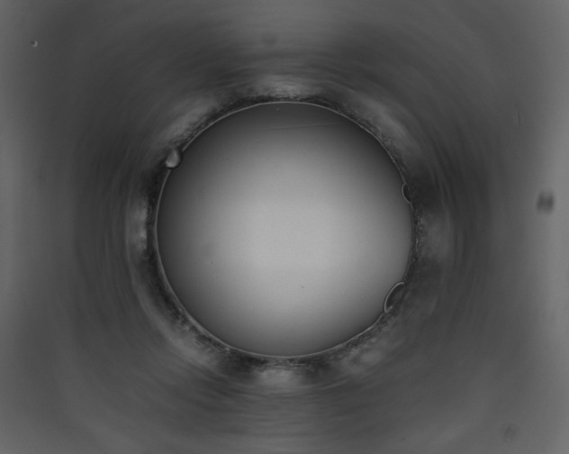 X0000090410358200707131152