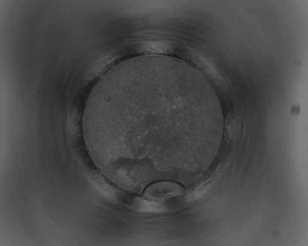 X0000090410359200707131152