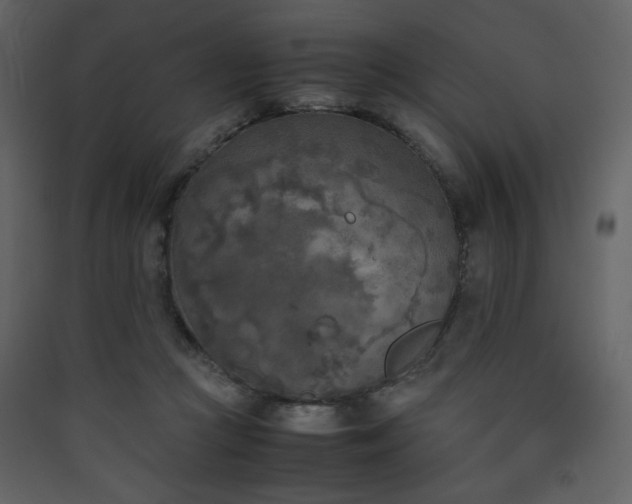 X0000090410361200707131152