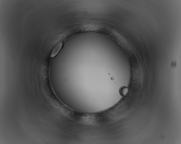 X0000090410362200707131152