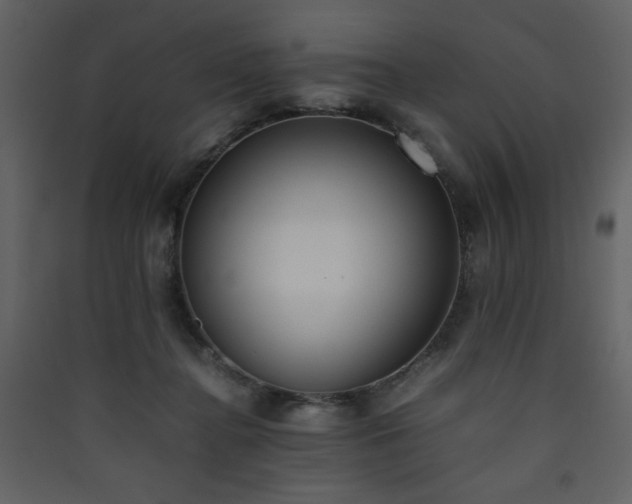 X0000090410364200707131153