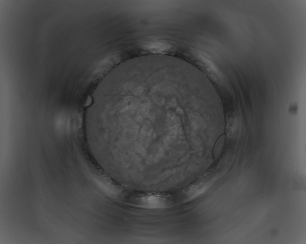 X0000090410365200707131153