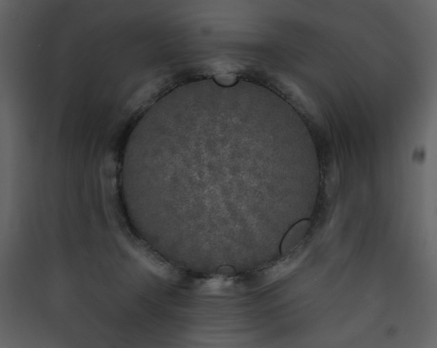 X0000090410366200707131153