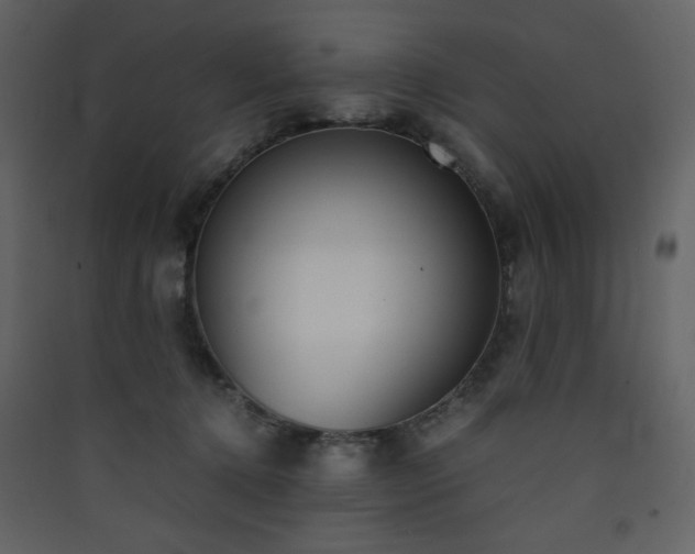 X0000090410368200707131153