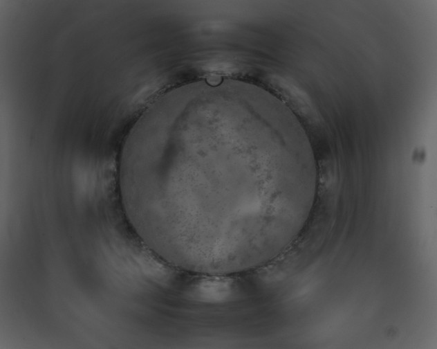 X0000090410369200707131153
