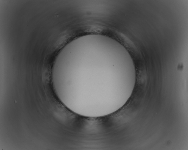 X0000090410370200707131153
