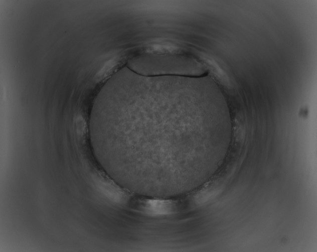 X0000090410371200707131153