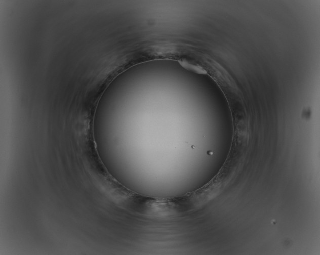 X0000090410372200707131153