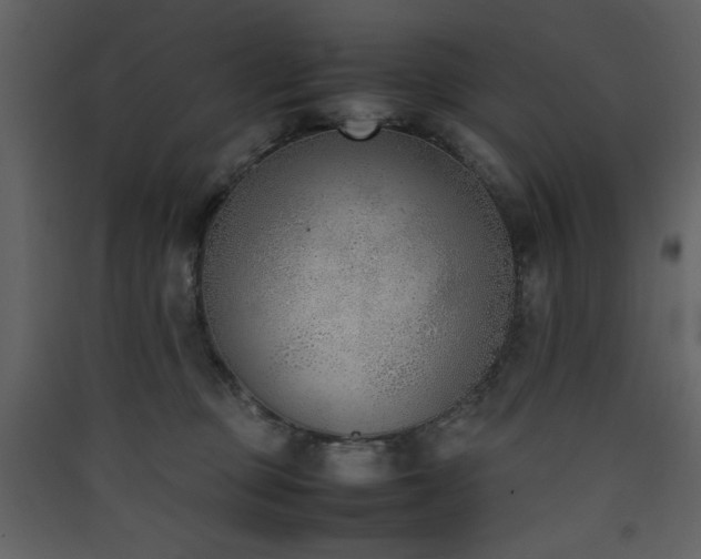 X0000090410373200707131153