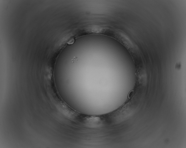 X0000090410374200707131153