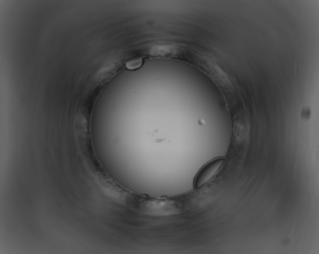 X0000090410375200707131153
