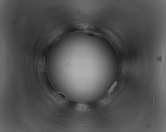 X0000090410376200707131153