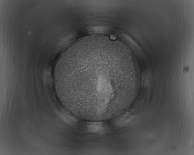 X0000090410377200707131153